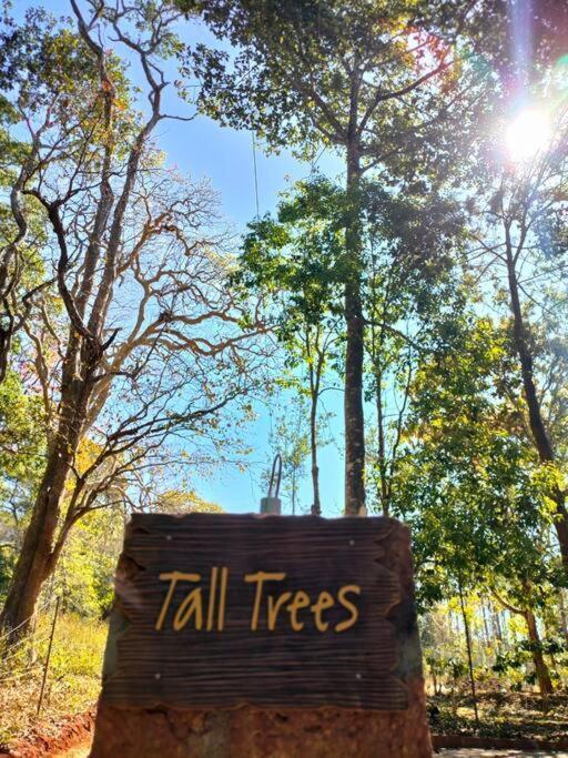 Tall Trees - Modern Forest Villa In Wayanad Sultan Bathery Dış mekan fotoğraf