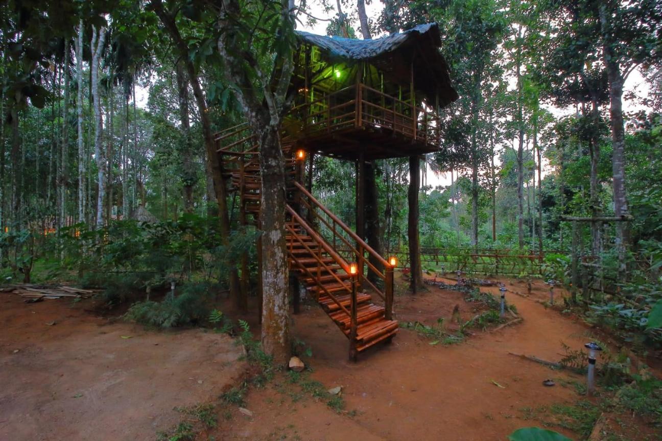 Tall Trees - Modern Forest Villa In Wayanad Sultan Bathery Dış mekan fotoğraf