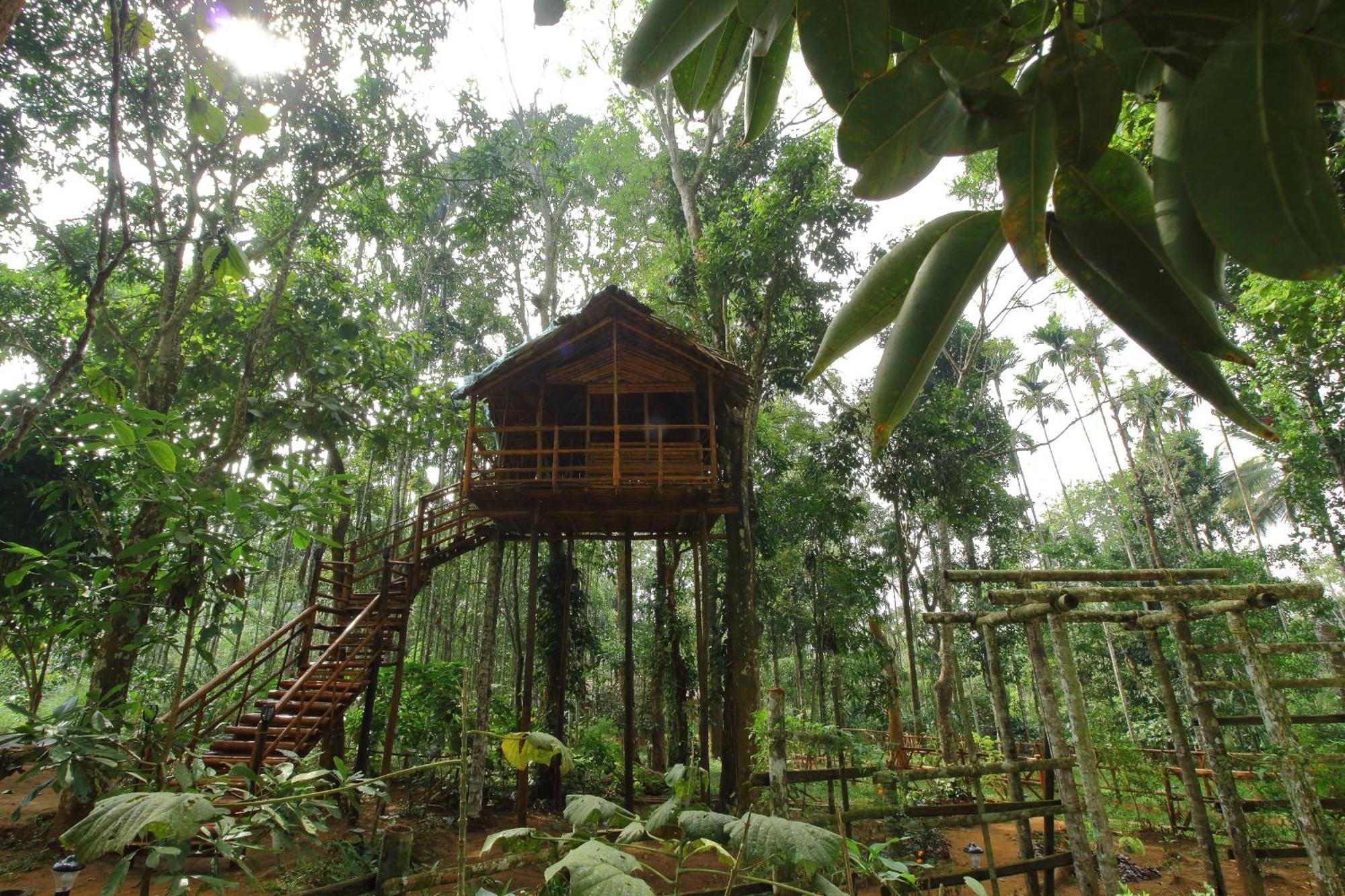 Tall Trees - Modern Forest Villa In Wayanad Sultan Bathery Dış mekan fotoğraf