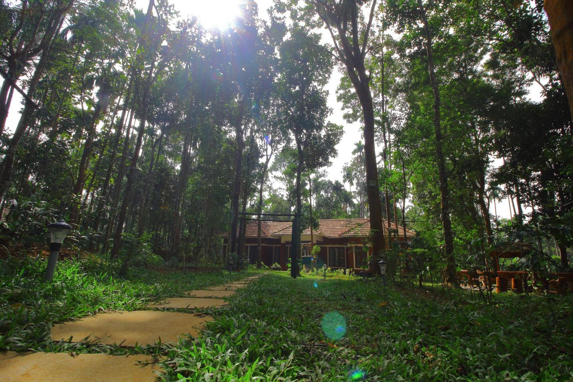 Tall Trees - Modern Forest Villa In Wayanad Sultan Bathery Dış mekan fotoğraf